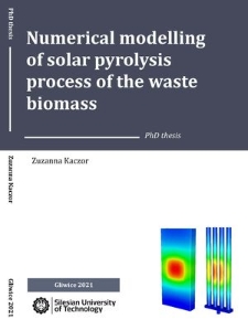 Numerical modelling of solar pyrolysis process of the waste biomass