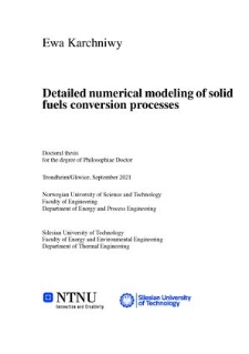 Detailed numerical modeling of solid fuels conversion processes