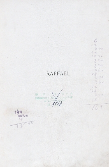 Raffael : des Meisters Gemalde in 203 Abbildungen